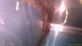IMG_2807.jpeg