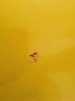 IMG_0465.jpeg