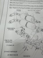 IMG_3925.jpeg