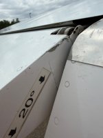 IMG_5207.jpeg