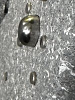 IMG_4467.JPEG