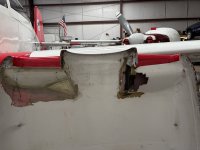 IMG_5546.jpeg