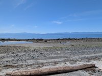 PXL_20260601_192741634.jpg