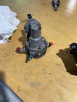 IMG_2317.jpeg