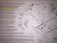 IMG_4480.jpeg