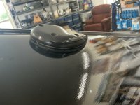 IMG_0668.jpeg IMG_0668.jpeg