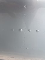 1781120525265.jpeg