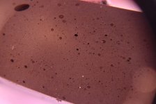 Sealant at 10x.jpg