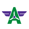 AceAviationSupply.com