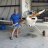 J29racer