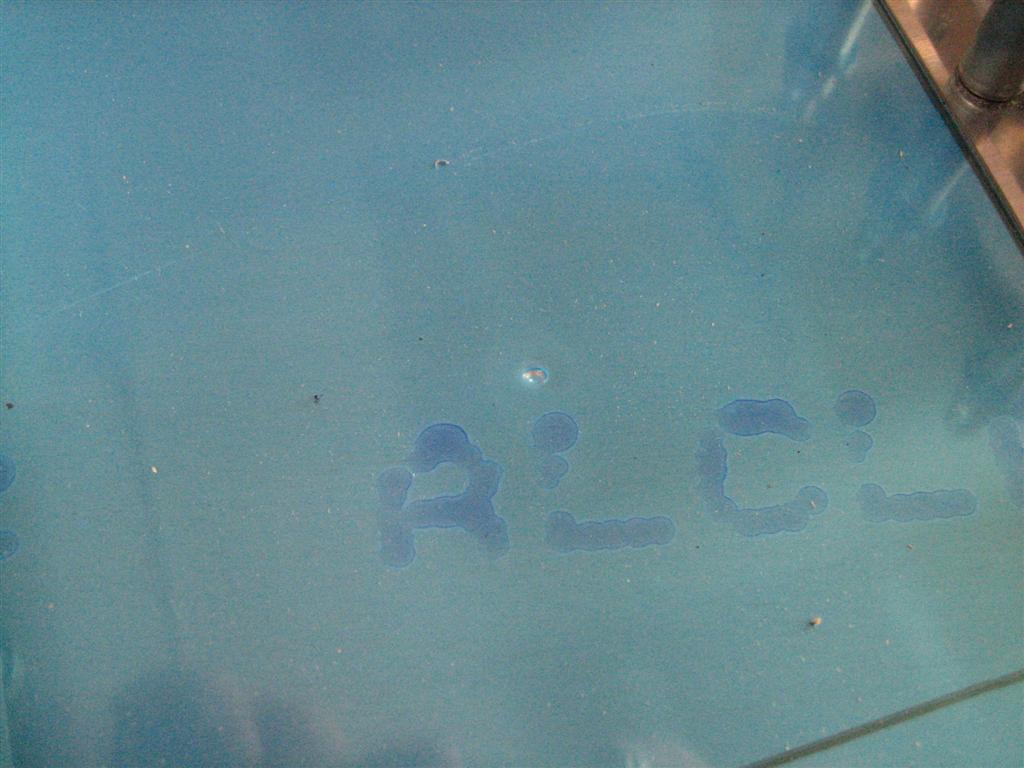 20100210-006-large.jpg