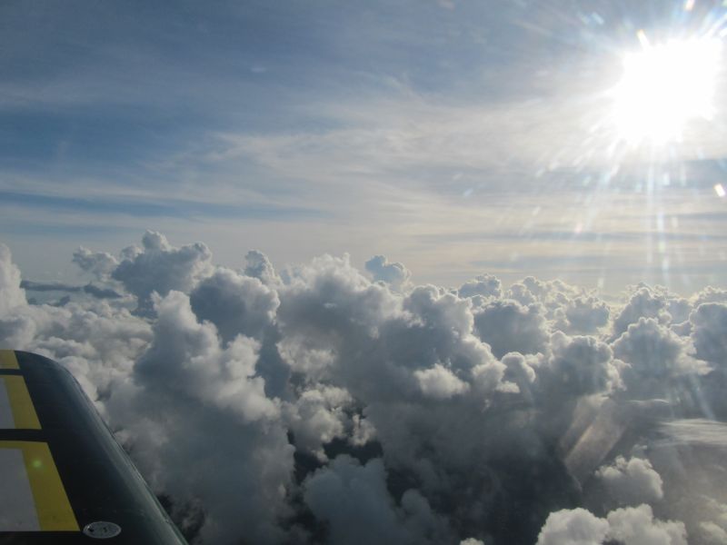 Antilles_515.jpg