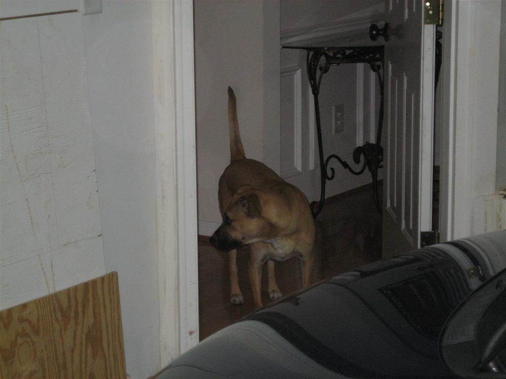 20100318-007-large.jpg