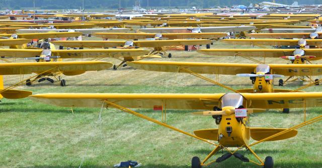 Piper-Cub-Insurance.jpg