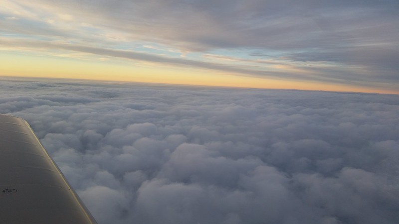 25062039482_e8ee44eb68_c.jpg