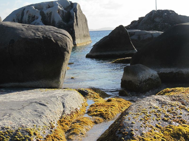 Antilles_795.jpg