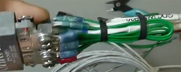 loop.jpg