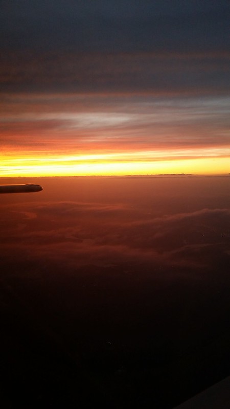 24549584304_629c18d58f_c.jpg