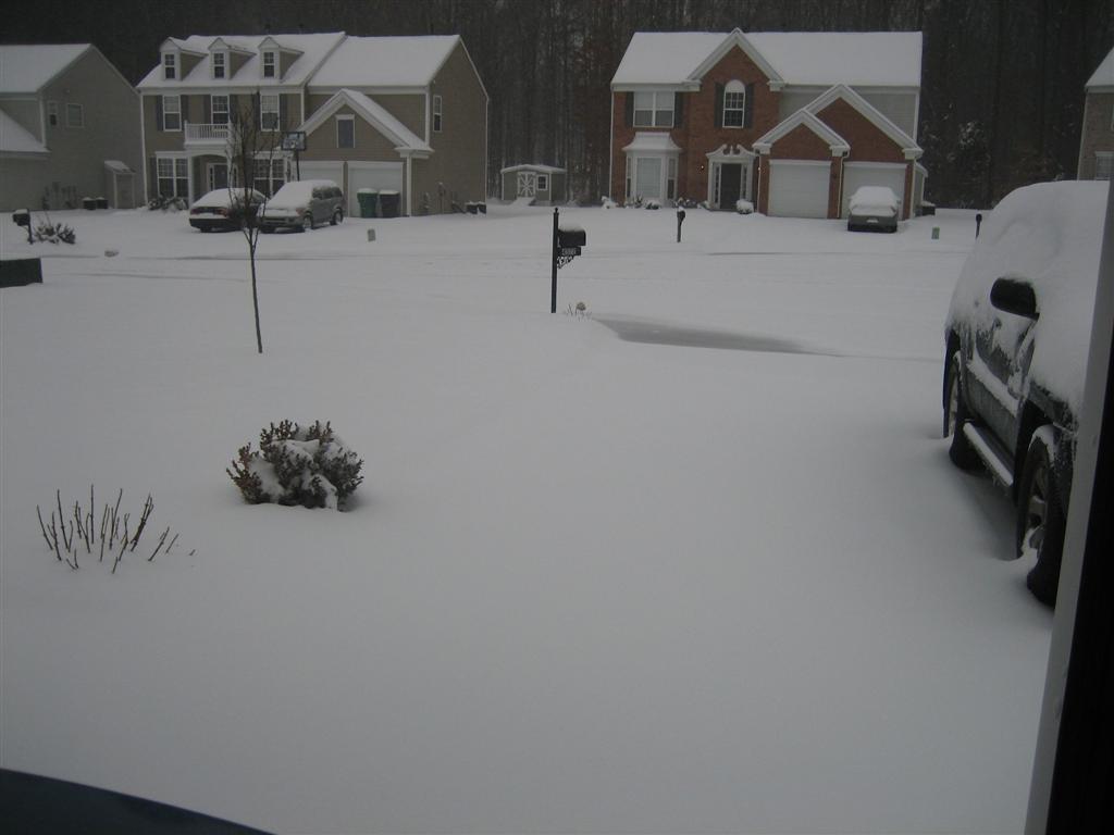1-30-10-007-large.jpg