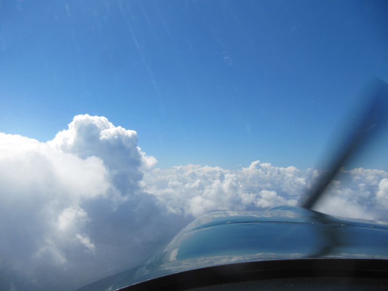 Antilles_141.jpg