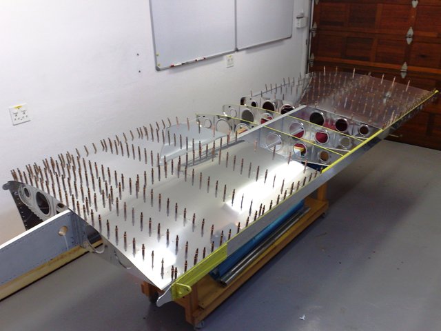 wing_30.jpg