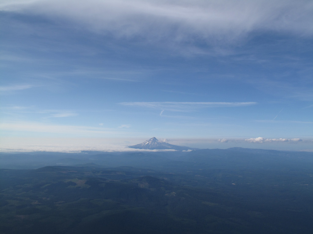 623377038_wGcz2-XL.jpg