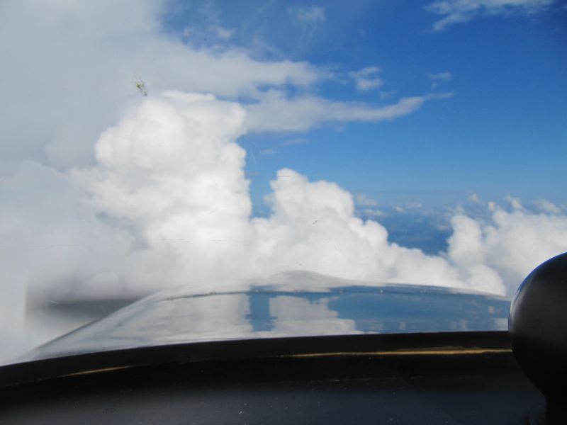 Antilles_244.jpg