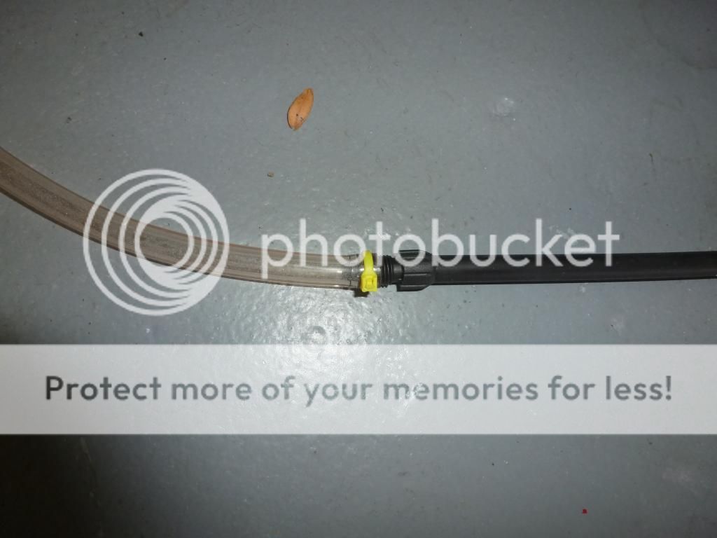 P1010255.jpg