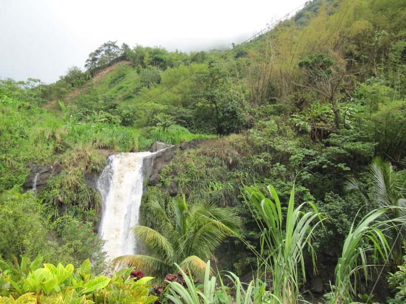 Antilles_750.jpg