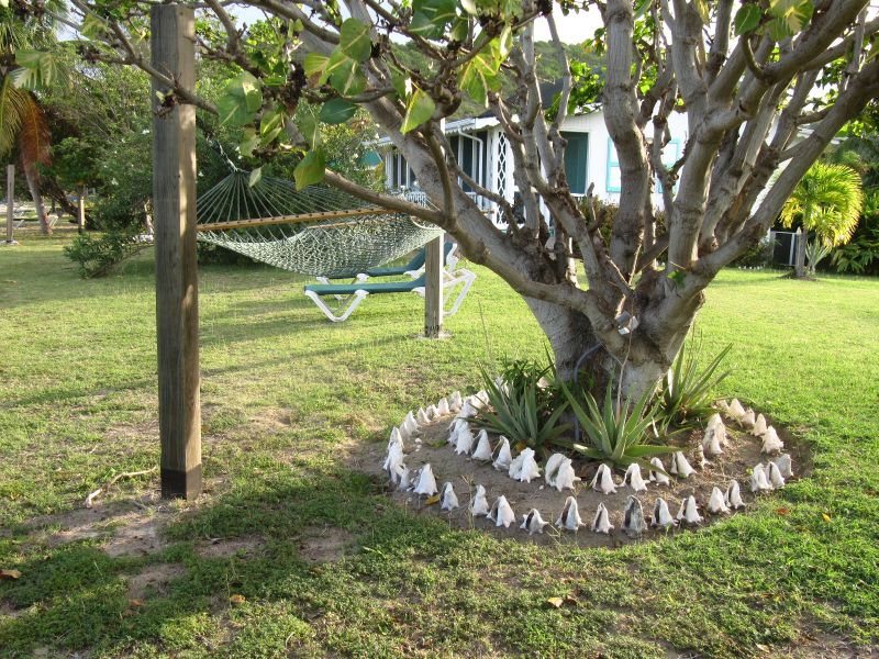 Antilles_562.jpg