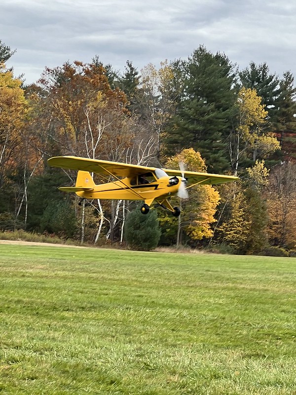 52450590372_5ae2501ce2_c.jpg