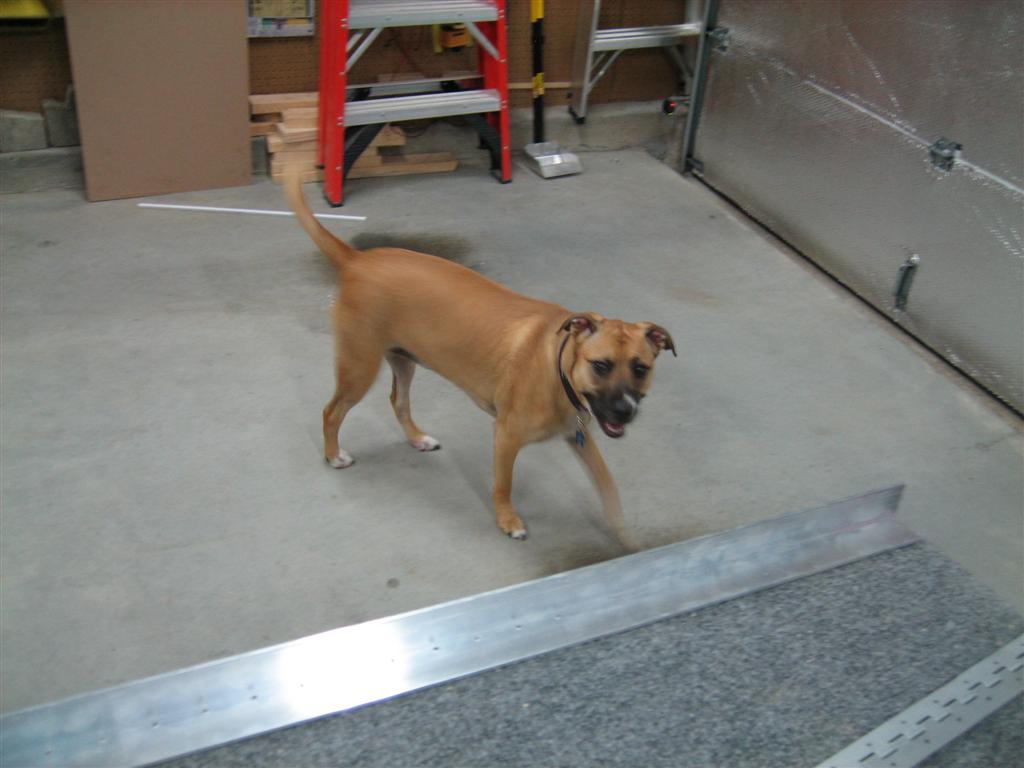 20100628-058-large.jpg