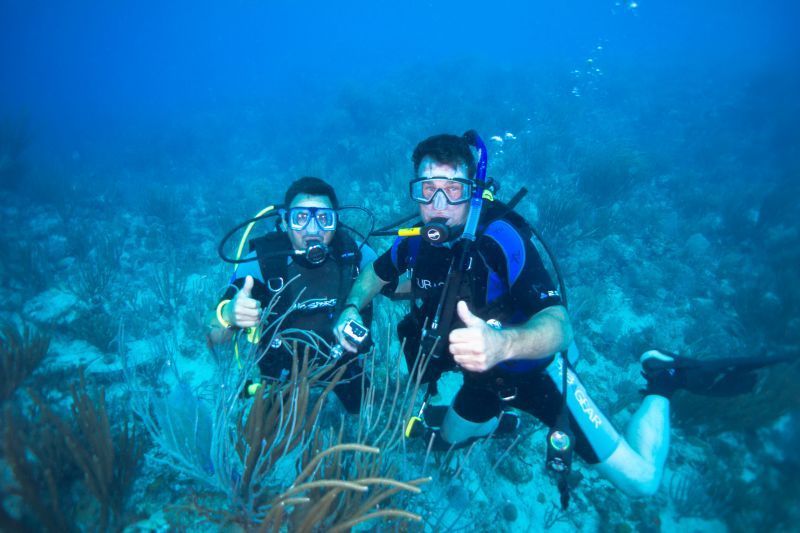 Antilles_775.jpg