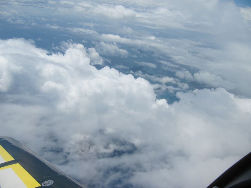 Antilles_625.jpg