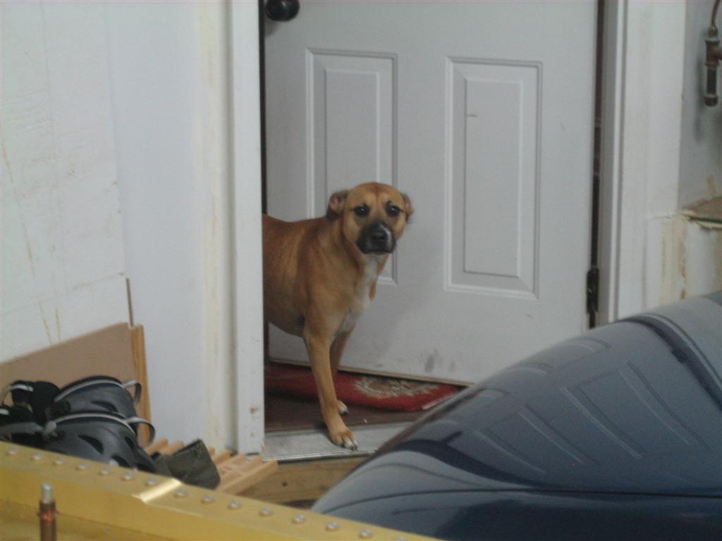 20110523-005-large.jpg