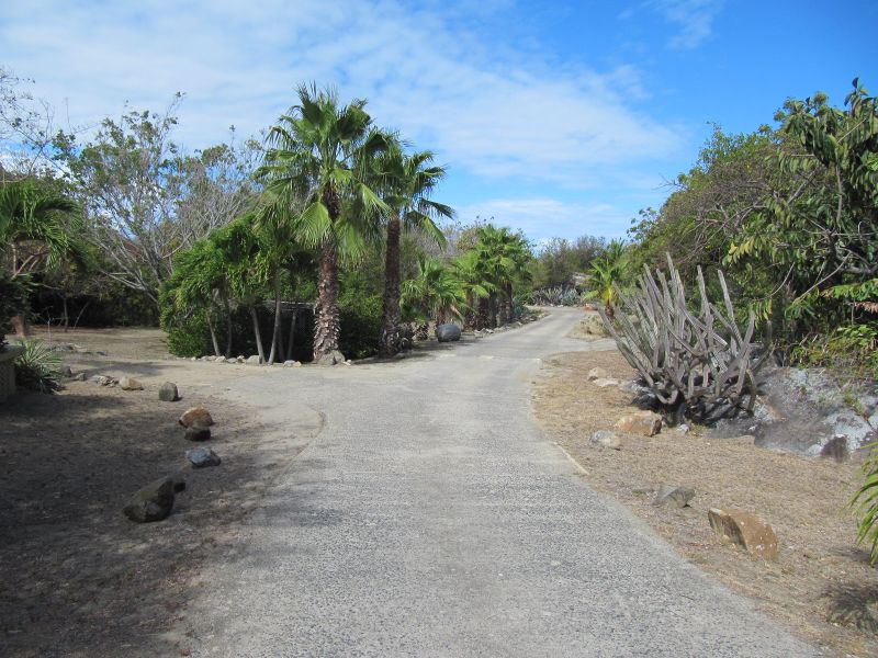 Antilles_251.jpg