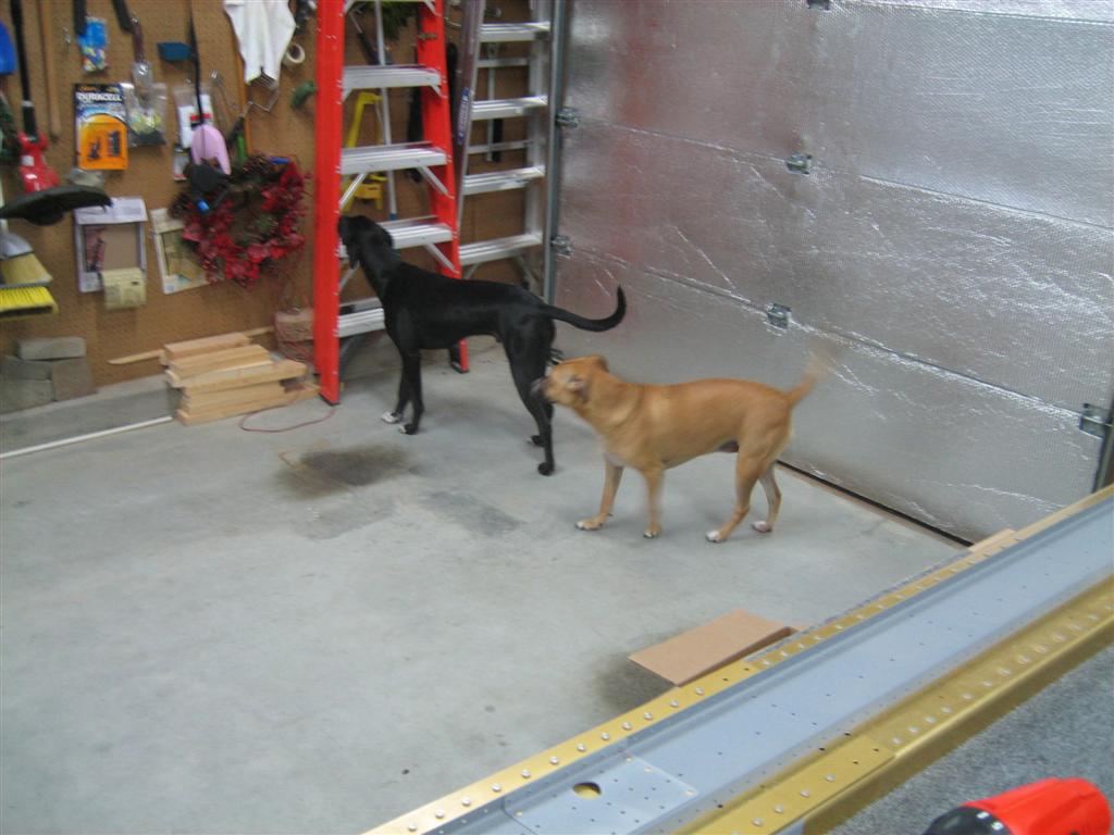 20101021-012-large.jpg