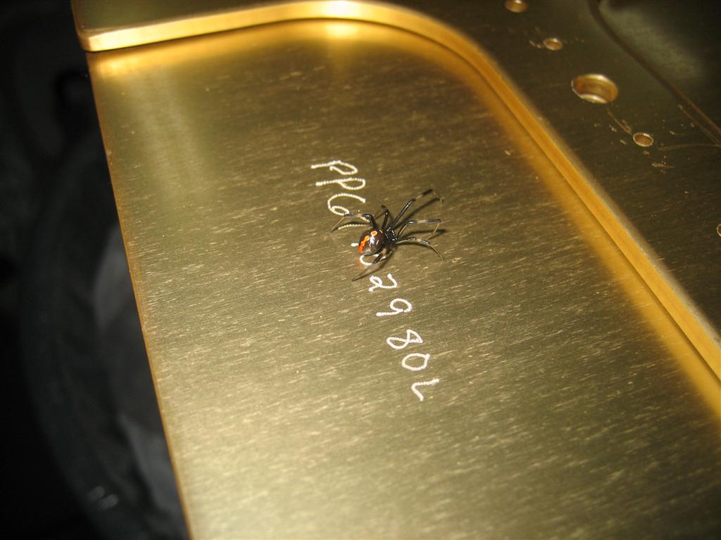 20101021-025-large.jpg