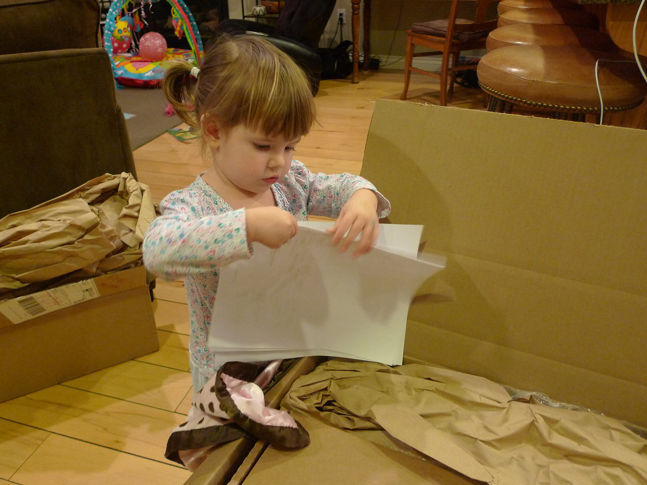 P1030545-X2.jpg
