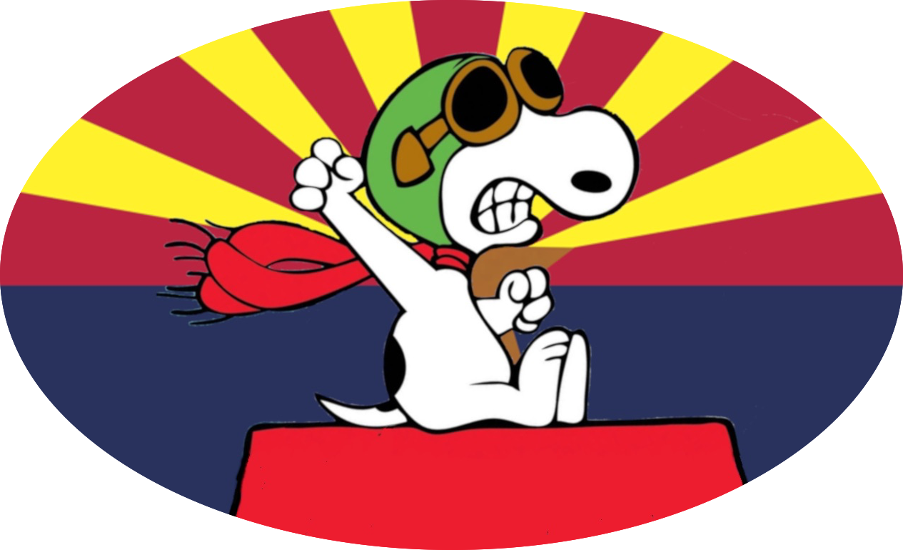 N254AZ_noseart_oval_copilot.png