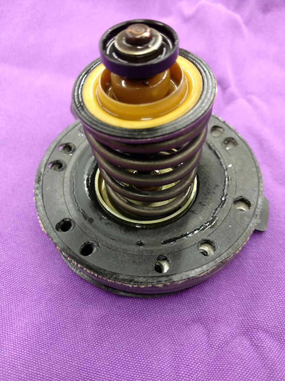 Damaged%20Oil%20Diaphragm.jpg