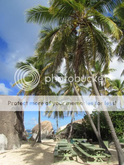 IMG_0400copy.jpg