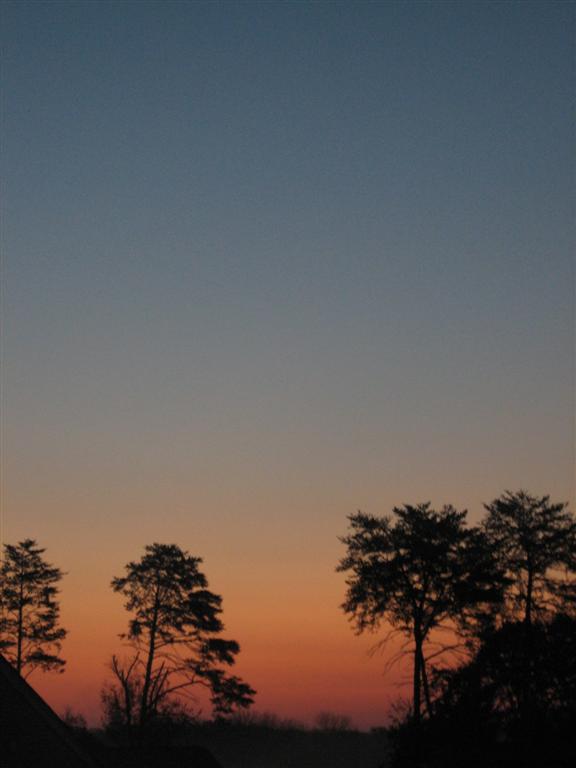 20101107-006-large.jpg