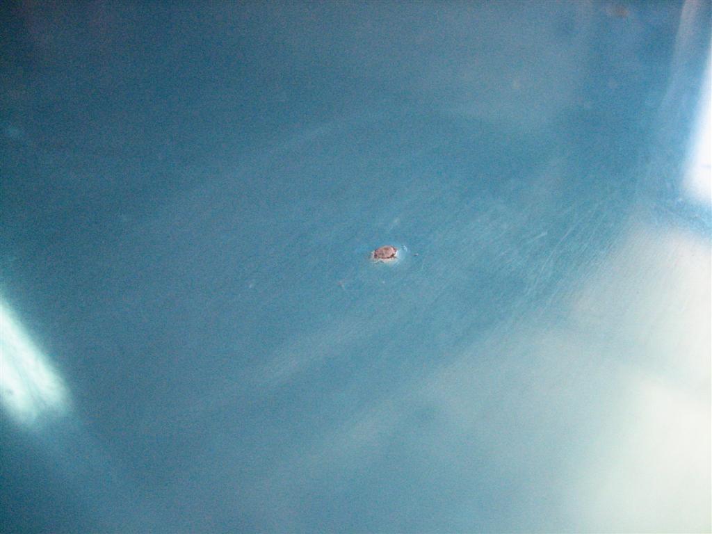 20100210-011-large.jpg