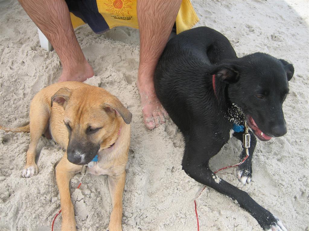 oak-island-june-2009-035-large.jpg