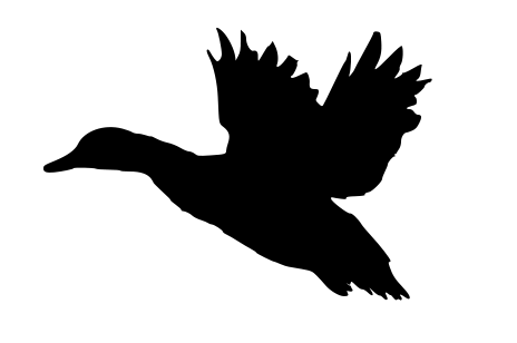 a998833c0ed52a2f5123d21807b02bfd.png