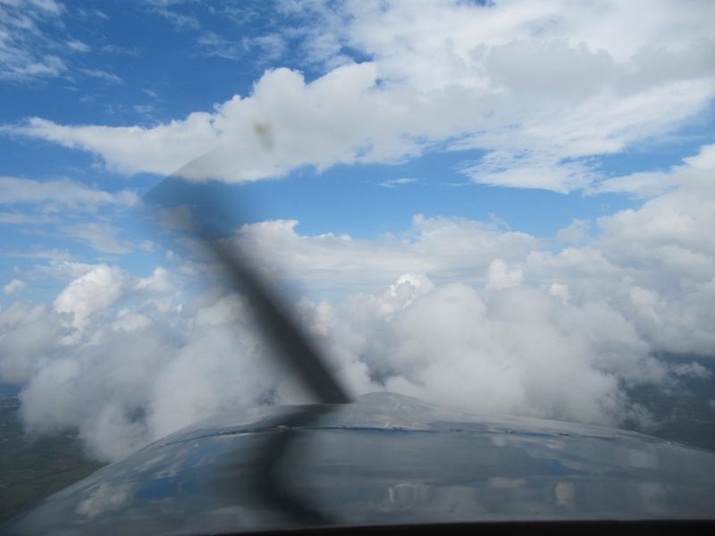 Antilles_241.jpg
