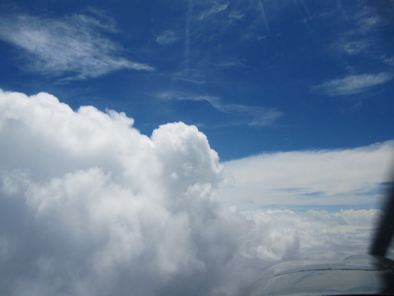 Antilles_389.jpg