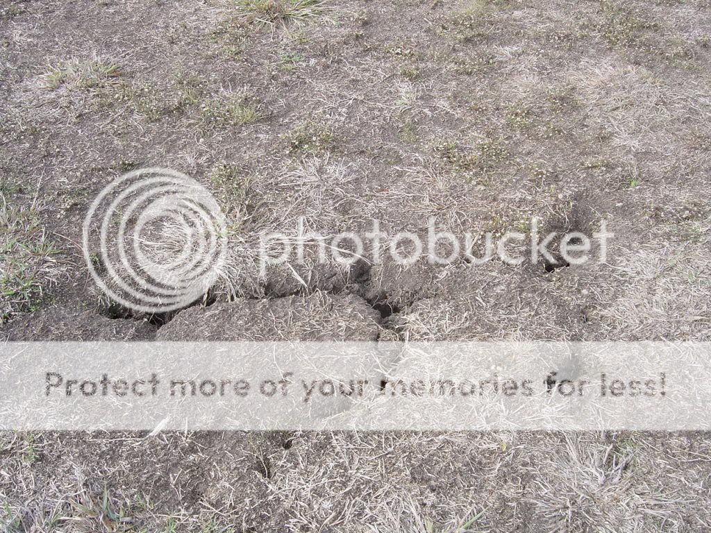 DSC04364.jpg