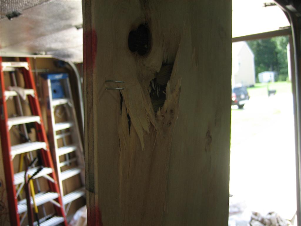 20100816-029-large.jpg